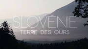 Словения – земля медведей / Slovénie, terre des ours (2020)