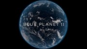 Голубая планета 2 (все серии) / Blue Planet II (2017)