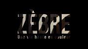 Зебры, черная полоска, белая полоска / Zèbre, une vie haute en couleur (2022)