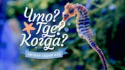 Что? Где? Когда? первая игра летней серии 21.05.2023