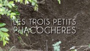 Три маленьких бородавочника / Les Trois Petits Phacocheres (2022)