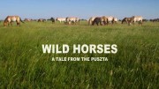 Дикие лошади сказки Пушты / Wild Horses: A Tale from the Puszta (2020)