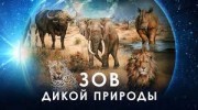 Зов дикой природы / Our Nature (2019)