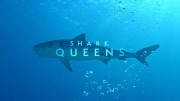 Владычицы морей / Shark Queens (2022)