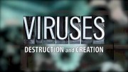 Вирусы: Разрушение и созидание / Viruses: Destruction and Creation (2016)