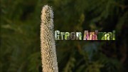 Зелёные животные (все серии) / Green Animal (2015)