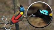 Райские птицы (все серии) / Birds of Paradise (2014)