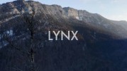Дикие кошки / Lynx (2021)
