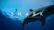 Акула со Стивом Бакшоллом (все серии) / Shark with Steve Backshall (2021)