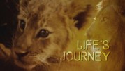 Путешествие длиной в жизнь 2 серия. Уроки жизни / Life's Journey (2017)