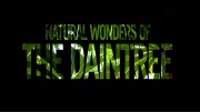Природные чудеса Дейнтри / Natural Wonders of the Daintree (2022)