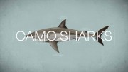 Акула - хищник в камуфляже / Camo Sharks (2022)