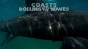 Побережья: перекатываясь с волнами / Coasts. Rolling with the Waves (2020)
