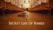 Тайная жизнь детей / Secret Life of Babies (2014)