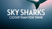 Акулы с высоты / Sky Sharks (2022)