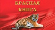 Красная книга (все серии) (2022)