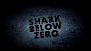 Акулы в ледяных водах / Shark Below Zero (2023)