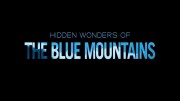Австралия - страна кенгуру. Большие норы / Hidden Wonders of The Blue Mountains (2023)
