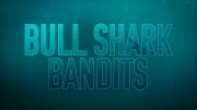 Акулы-налетчики / Bull Shark Bandits (2023)