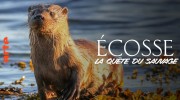 Дикая Шотландия / Écosse, la quête du sauvage (2018)