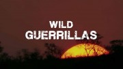 Мастера выживания / Wild Guerrillas (2021)