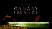 Дикие Канарские острова / Wild Canary Islands (2021)
