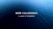 Новая Каледония. Страна чудес / New Caledonia. A Land Of Wonders (2020)