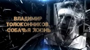 Владимир Толоконников. Собачья жизнь 23.01.2024