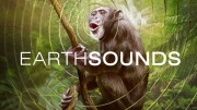 Звуки Земли (все серии) / Earthsounds (2024)