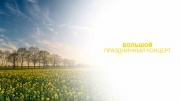 Большой праздничный концерт 04.11.2024