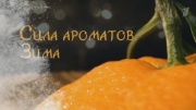Сила ароматов Зима 25.01.2025