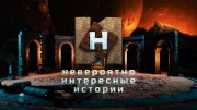 Невероятно интересные истории 29.05.2025
