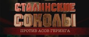 Сталинские соколы против асов Геринга 21.06.2025