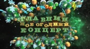 Главный новогодний концерт 02.01.2026