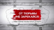 От тюрьмы не зарекайся самые странные способы попасть за решетку 07.02.2026